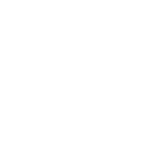 Venivici and Co.